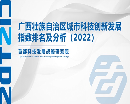 骚逼好紧操死你视频【成果发布】广西壮族自治区城市科技创新发展指数排名及分析（2022）